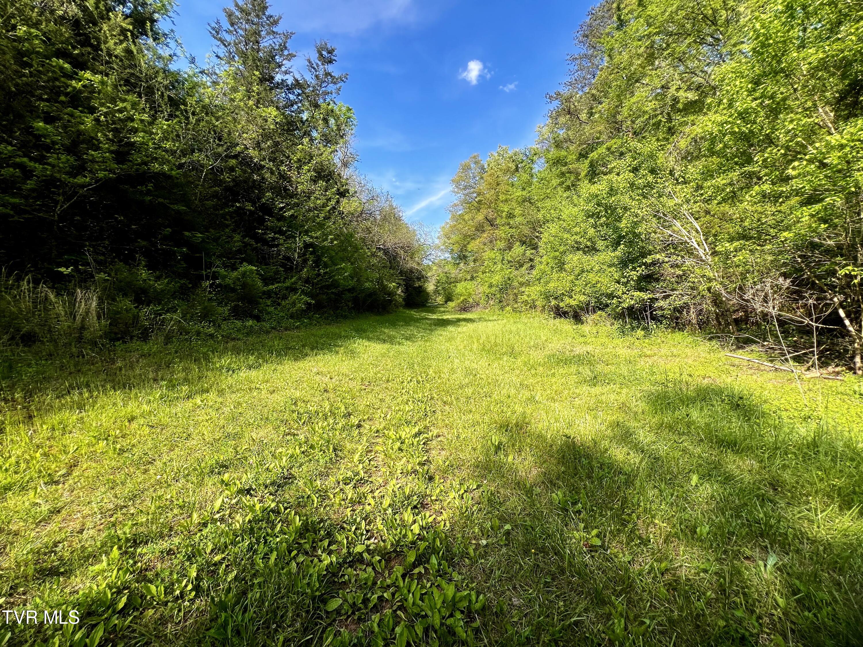 4045 Mohawk Road, Midway, Tennessee image 34