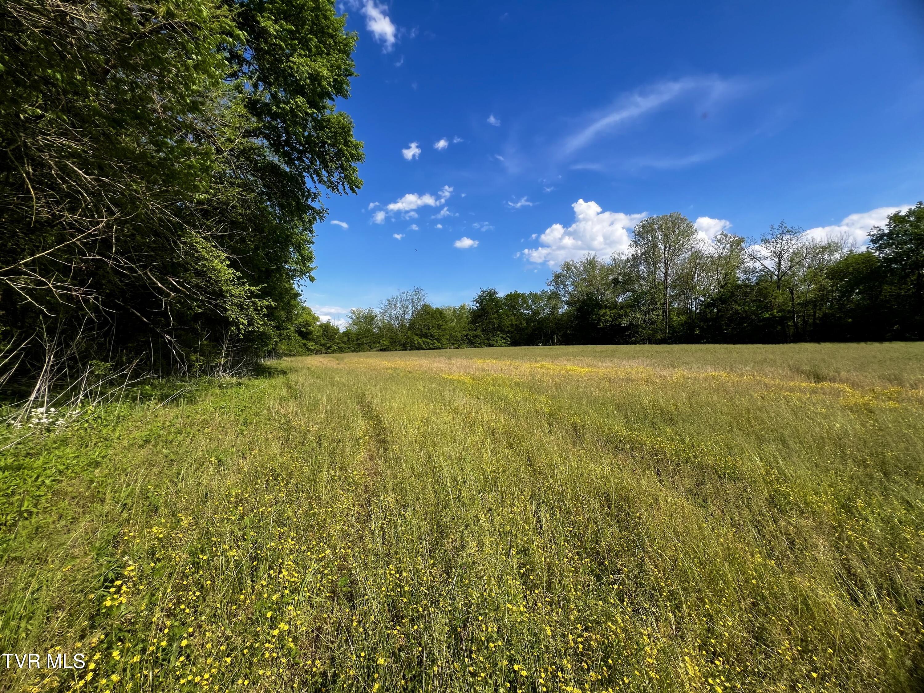 4045 Mohawk Road, Midway, Tennessee image 25