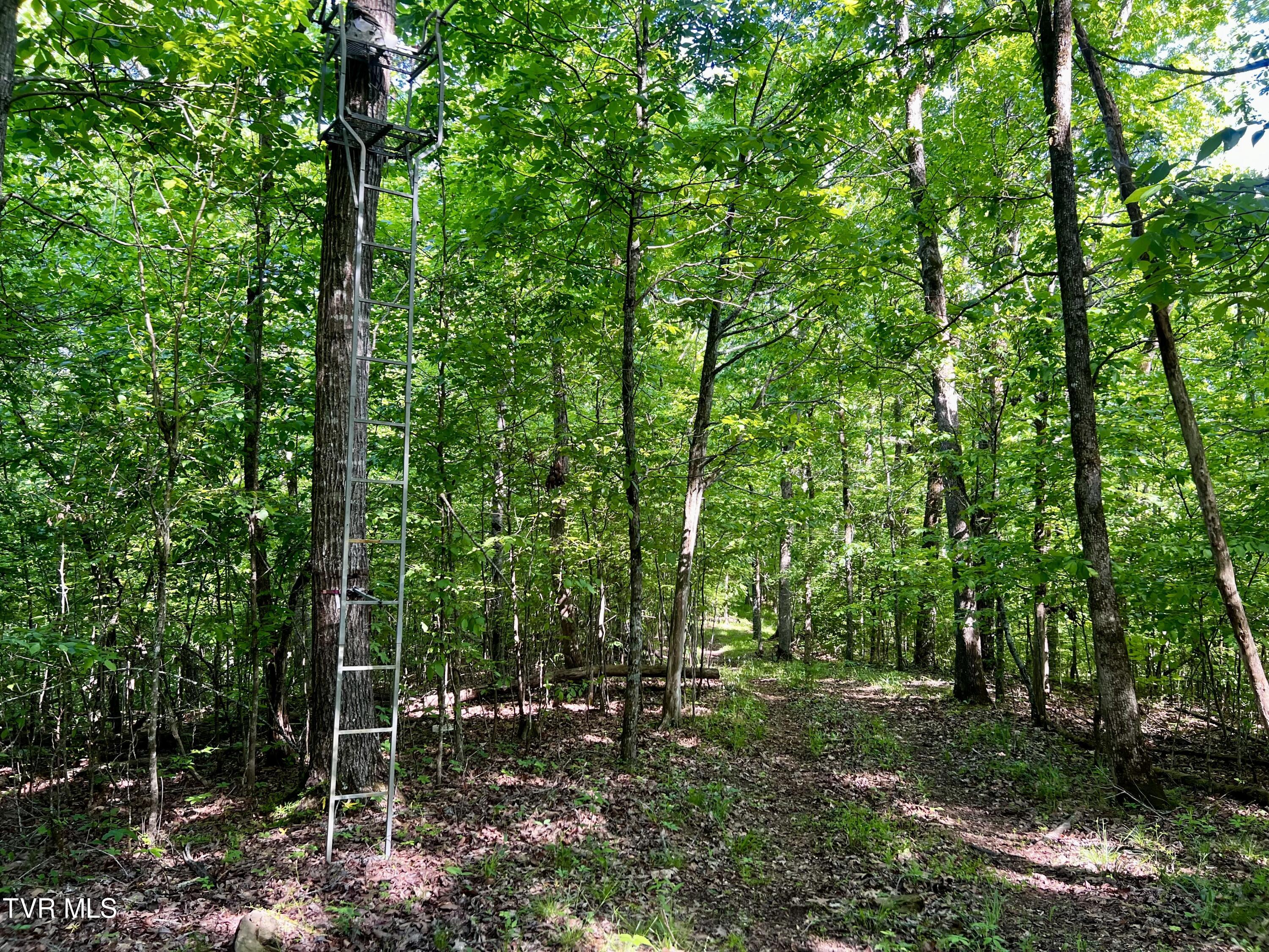 4045 Mohawk Road, Midway, Tennessee image 31