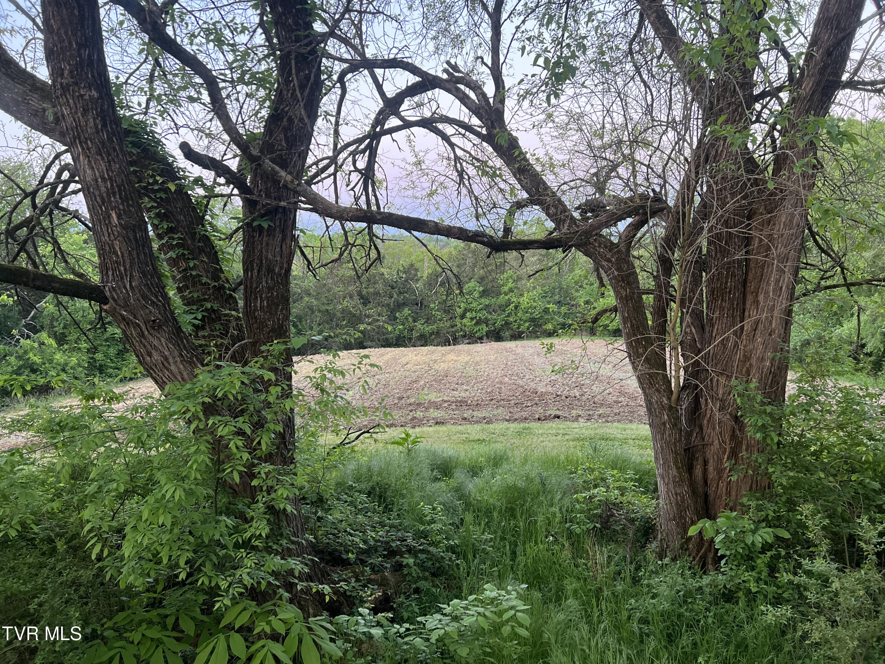 4045 Mohawk Road, Midway, Tennessee image 16
