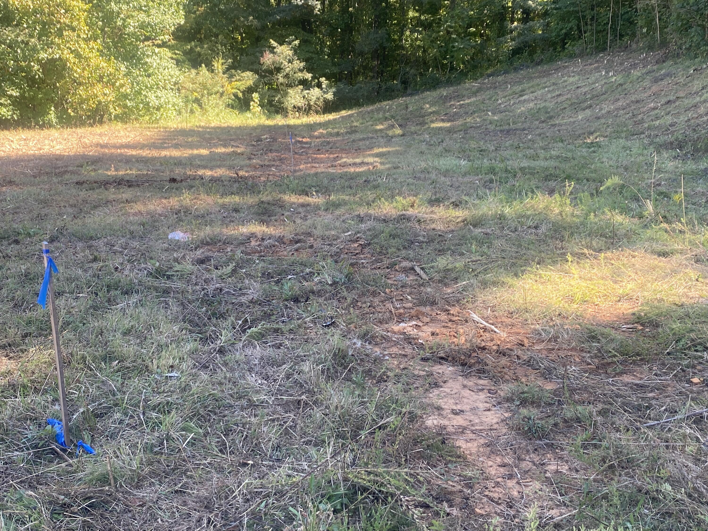 00 Erwin Highway, Greeneville, Tennessee image 22