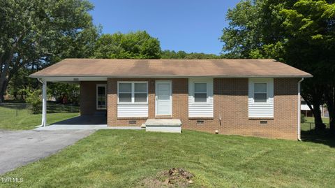 Photo of 503 Sunnyvale Drive, Johnson City, TN 37601 (MLS # 9995235)
