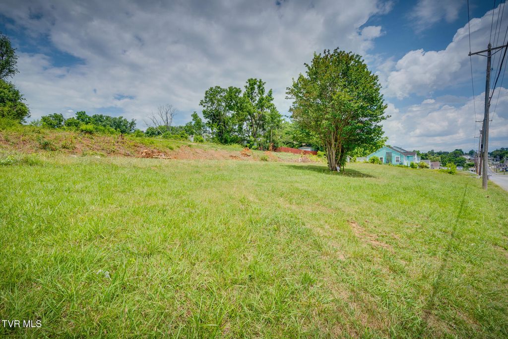 Photo of 423 Bernard Avenue, Greeneville, TN 37745 (MLS # 9975957)