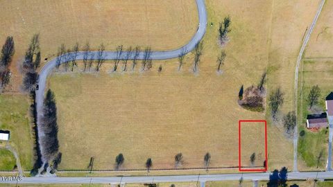 Vacant Land For Sale - LOT 1 Carters Valley Road<br/> Church Hill, TN 37642