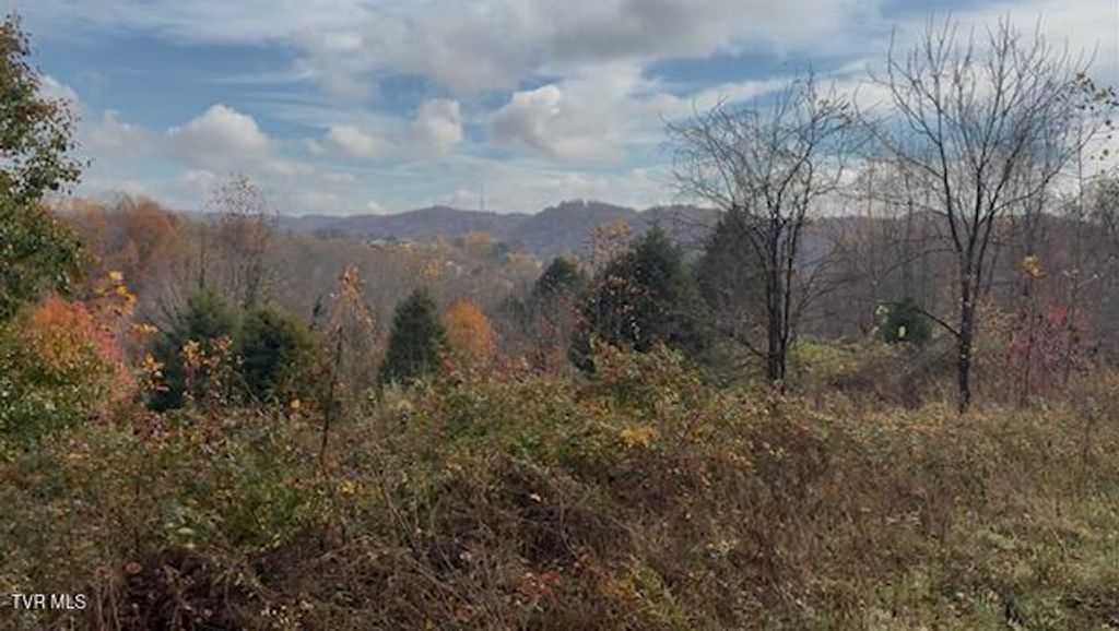 Photo of 1030 Paperville Road, Bristol, TN 37620 (MLS # 9988511)