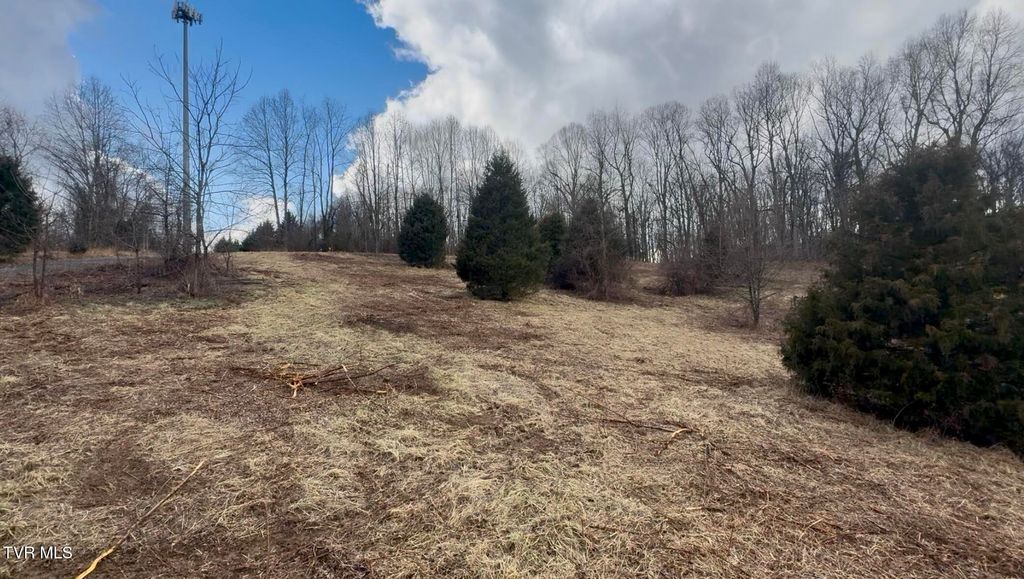 Photo of 1030 Paperville Road, Bristol, TN 37620 (MLS # 9988511)