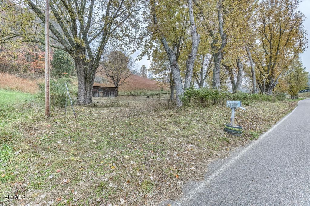 Photo of 732 Shadowtown Road, Blountville, TN 37617 (MLS # 9987975)