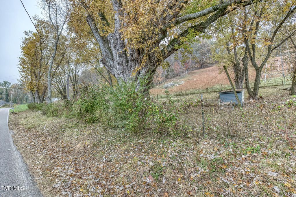 Photo of 732 Shadowtown Road, Blountville, TN 37617 (MLS # 9987975)