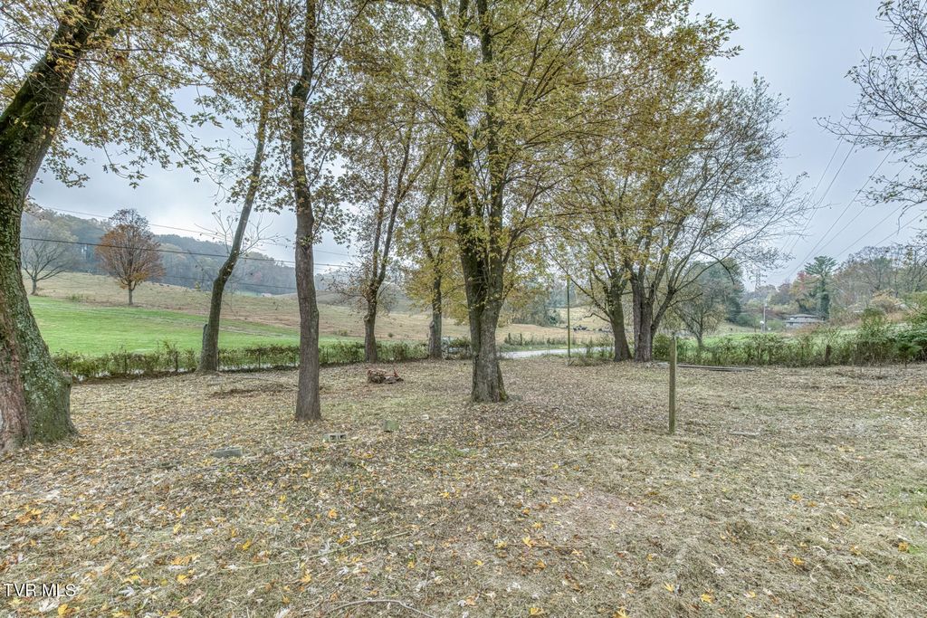 Photo of 732 Shadowtown Road, Blountville, TN 37617 (MLS # 9987975)