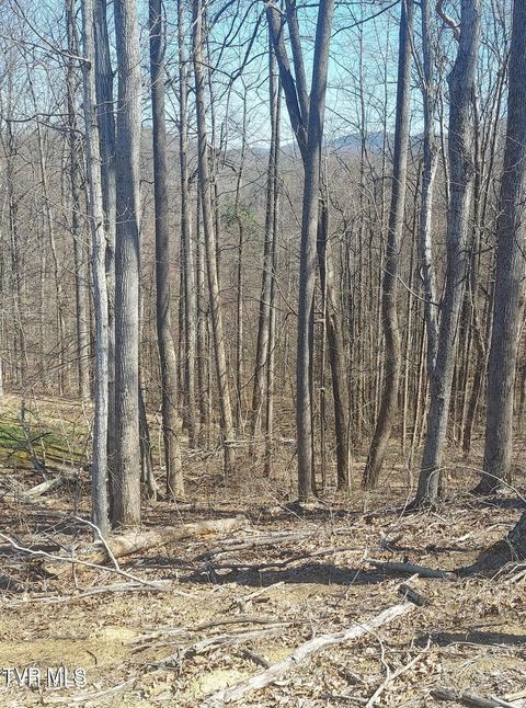 Vacant Land For Sale - LOT 76 Golf Course Road<br/> Unicoi County, Unicoi, TN 37692
