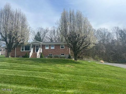 103 Martindale Road Bristol TN 37620