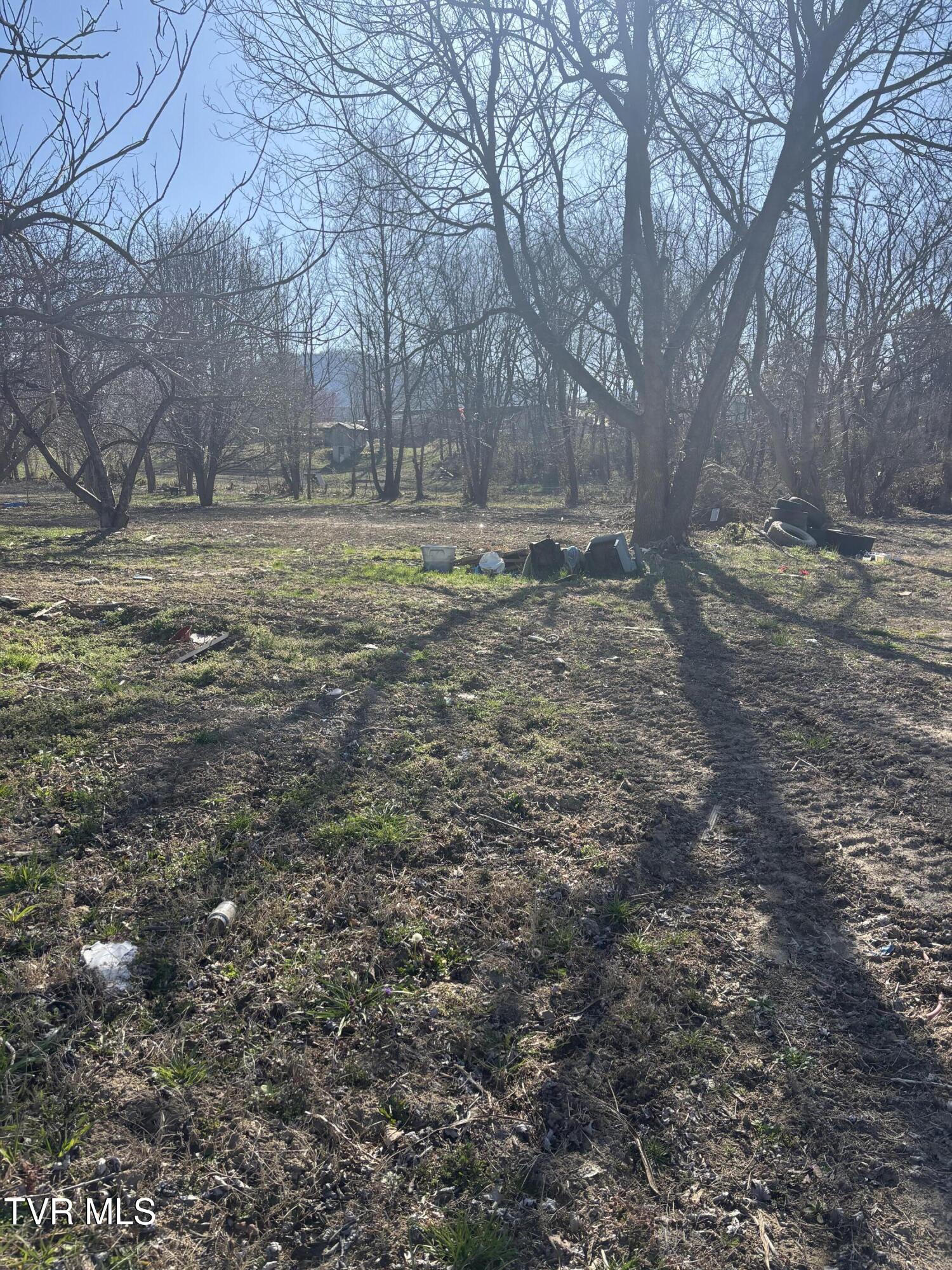 564 Aj Willis Road, Jonesborough, Tennessee image 5