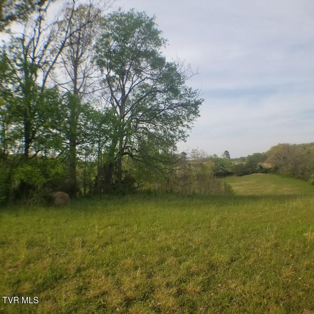 Photo of 00 Loves Lane, Greeneville, TN 37743 (MLS # 9994184)