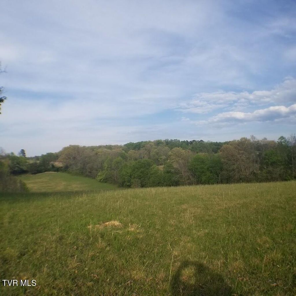 Photo of 00 Loves Lane, Greeneville, TN 37743 (MLS # 9994184)