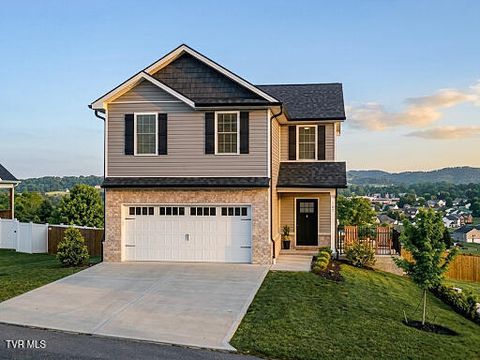 Photo of 162 Bob Ford Road, Jonesborough, TN 37659 (MLS # 9992017)