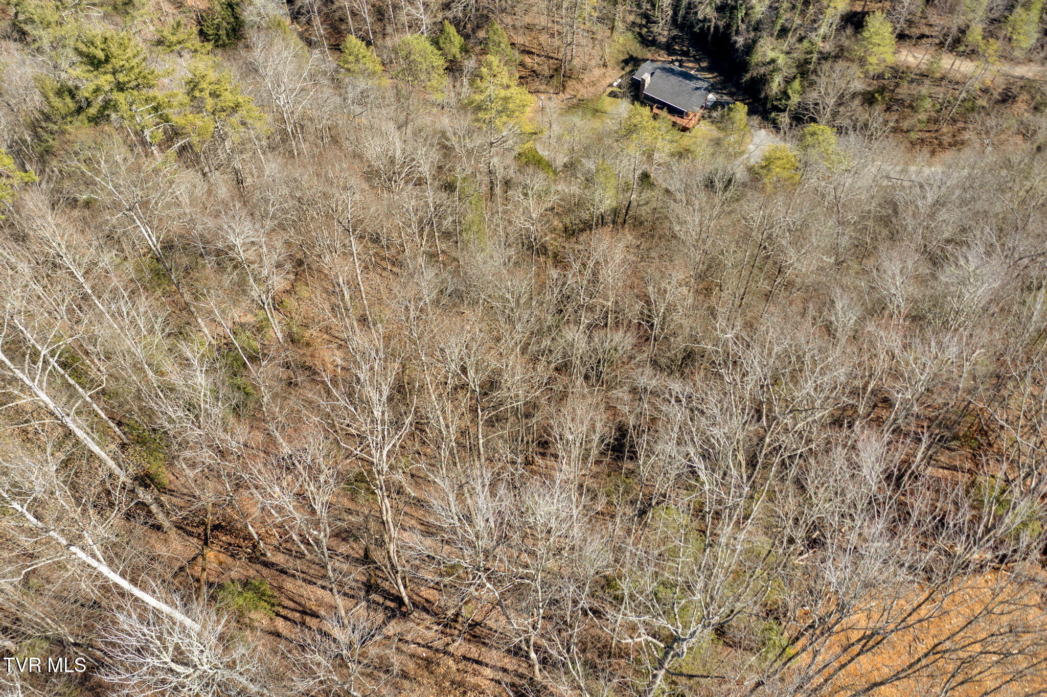 N Clear Fork Road, Sevierville, Tennessee image 7