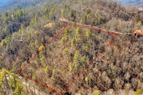 Vacant Land For Sale - N Clear Fork Road<br/> Sevierville, TN 37862