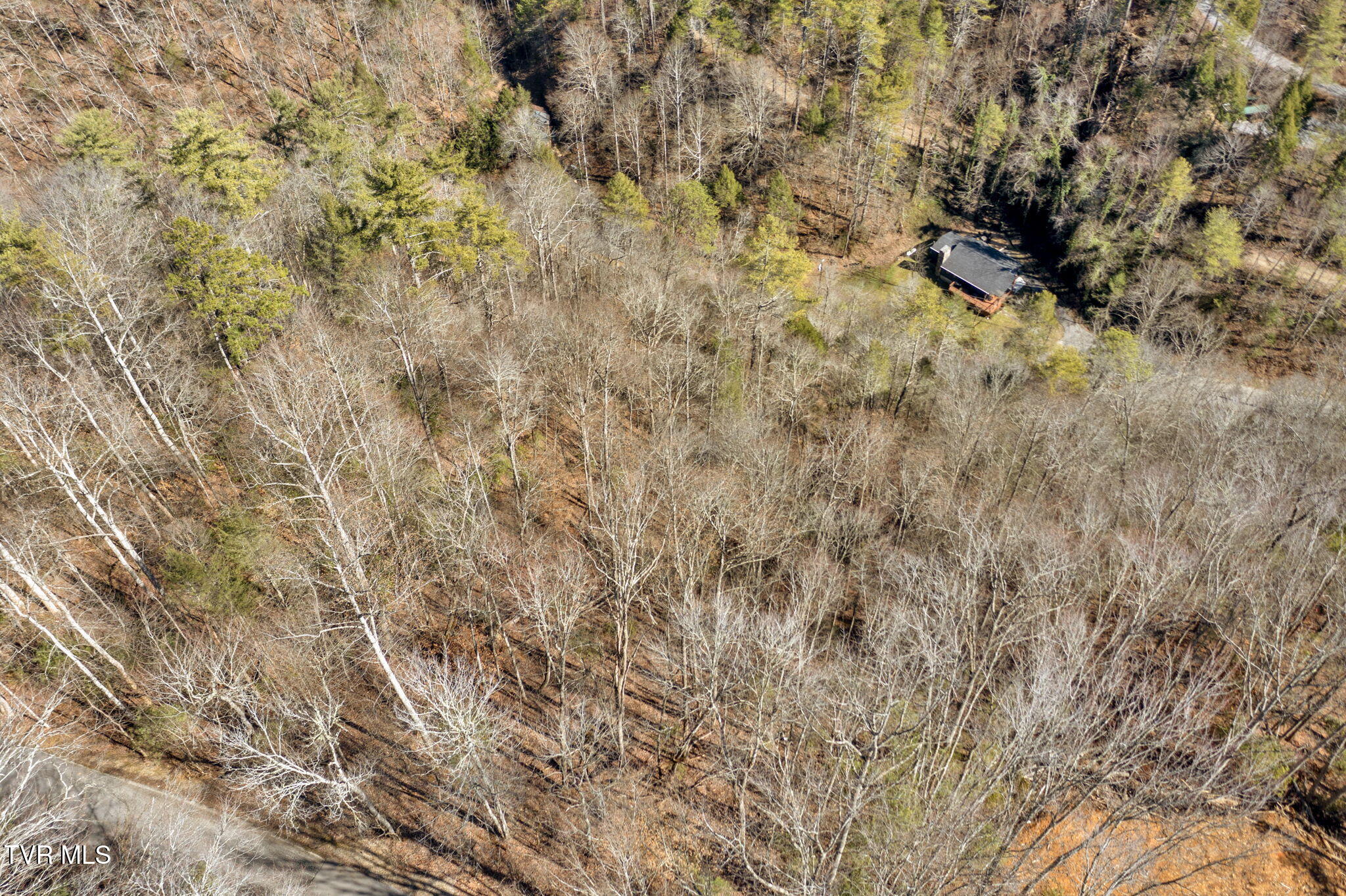 N Clear Fork Road, Sevierville, Tennessee image 8