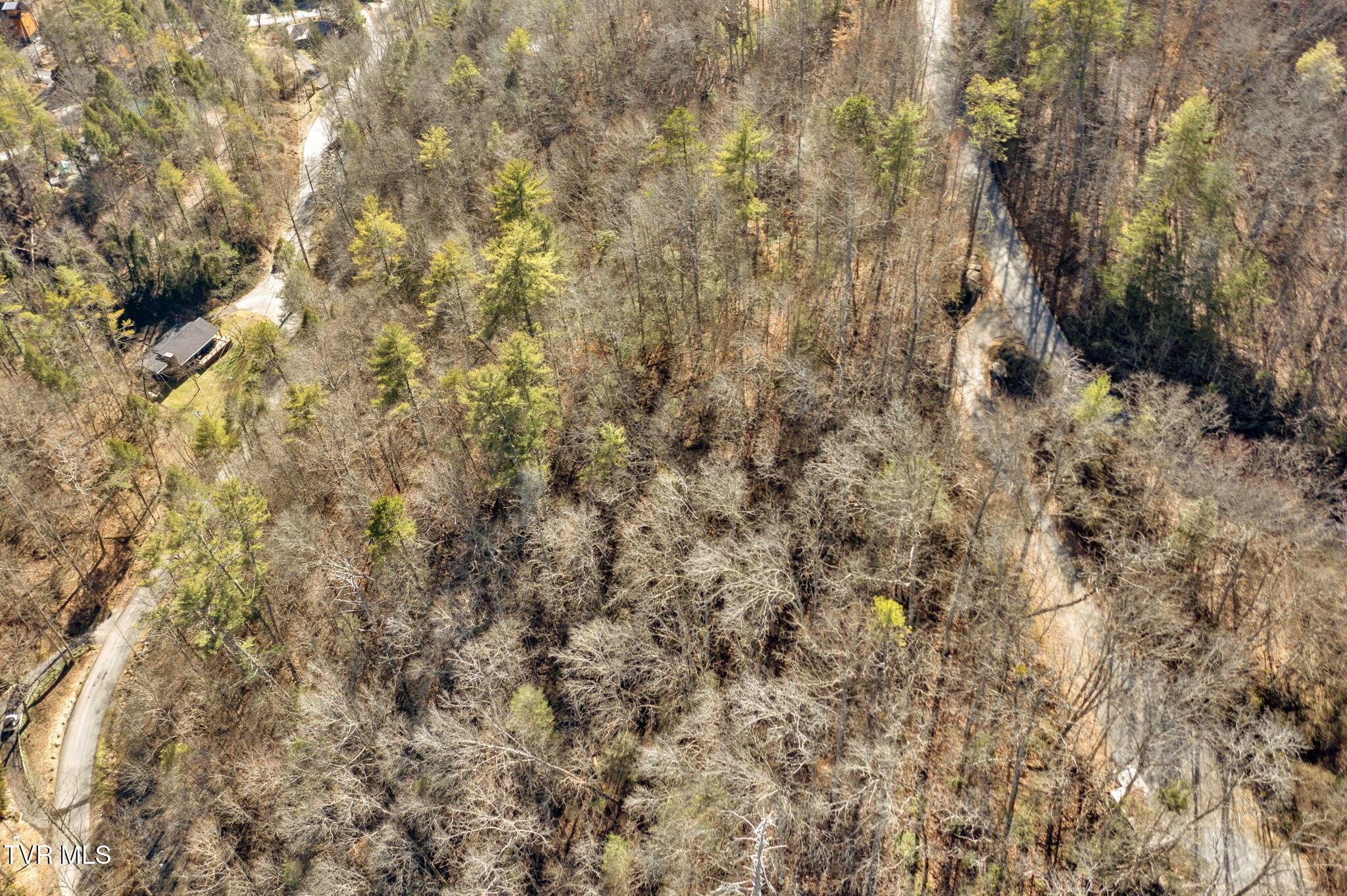 N Clear Fork Road, Sevierville, Tennessee image 15