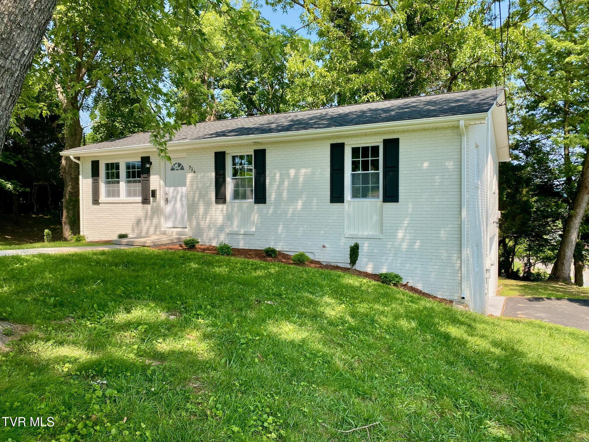 724 Georgia Street, Johnson City, Tennessee image 3
