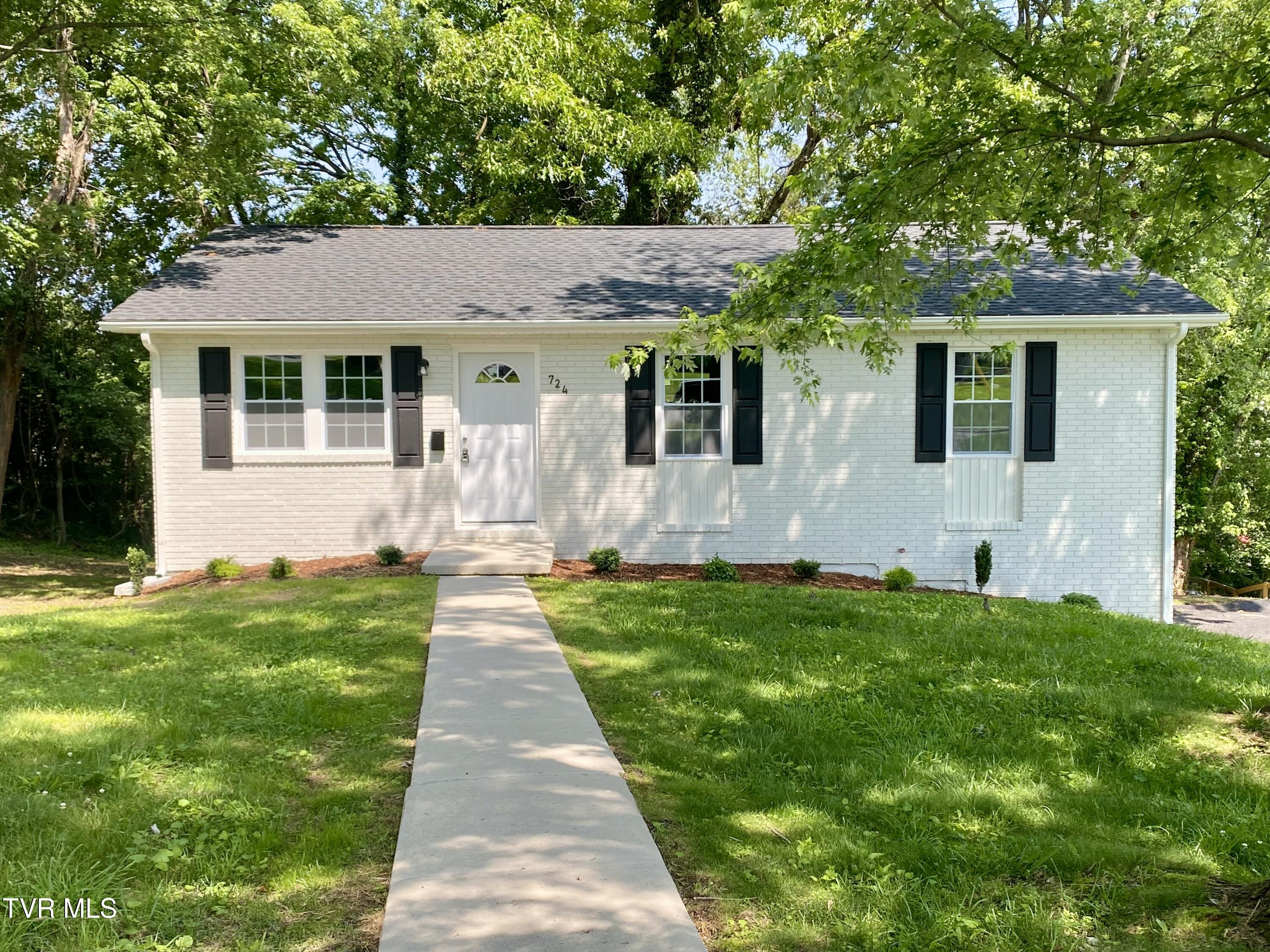 724 Georgia Street, Johnson City, Tennessee image 1