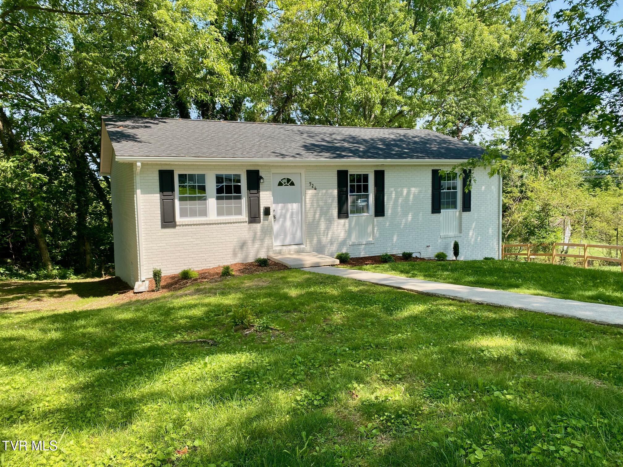 724 Georgia Street, Johnson City, Tennessee image 2