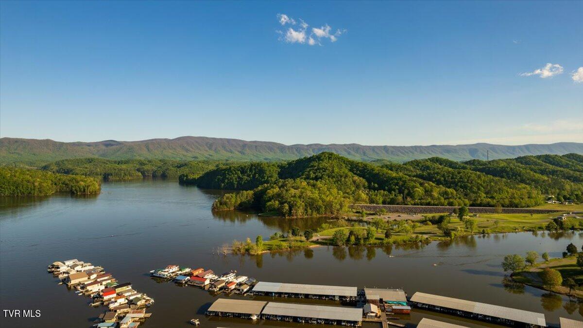 221 Lakeview Estates Drive, Bristol, Tennessee image 9