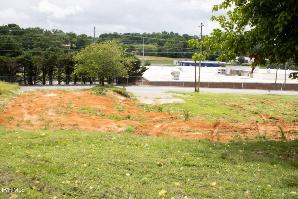 Photo of 1 Bernard Avenue, Greeneville, TN 37745 (MLS # 9994925)