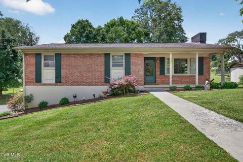 Homes For Sale - 302 Seminole Road<br/> Bristol, VA 24201