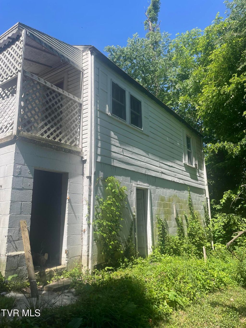 Photo of 206 Broyles Street, Greeneville, TN 37745 (MLS # 9995224)