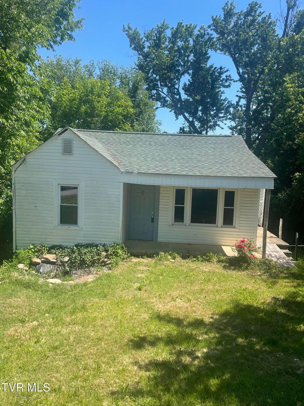 Photo of 206 Broyles Street, Greeneville, TN 37745 (MLS # 9995224)
