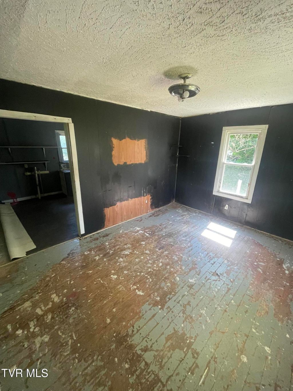 Photo of 206 Broyles Street, Greeneville, TN 37745 (MLS # 9995224)