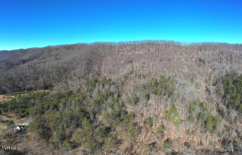 289 Early Branch Road, Rogersville, Tennessee image 38