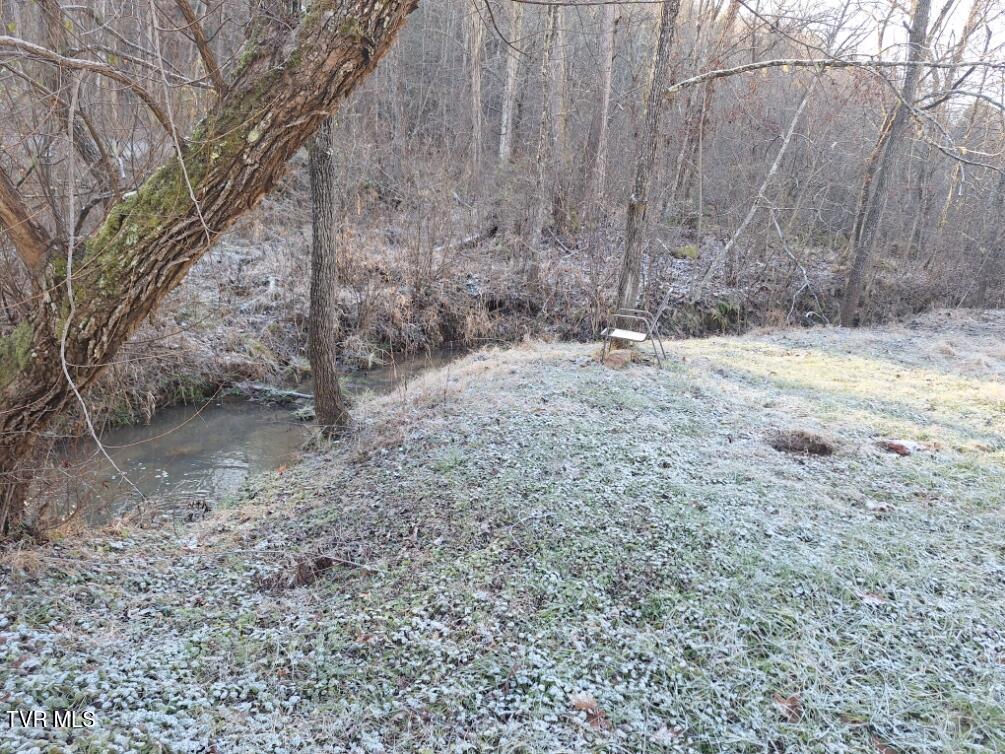 289 Early Branch Road, Rogersville, Tennessee image 16