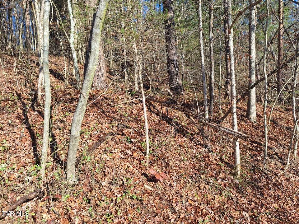 289 Early Branch Road, Rogersville, Tennessee image 9