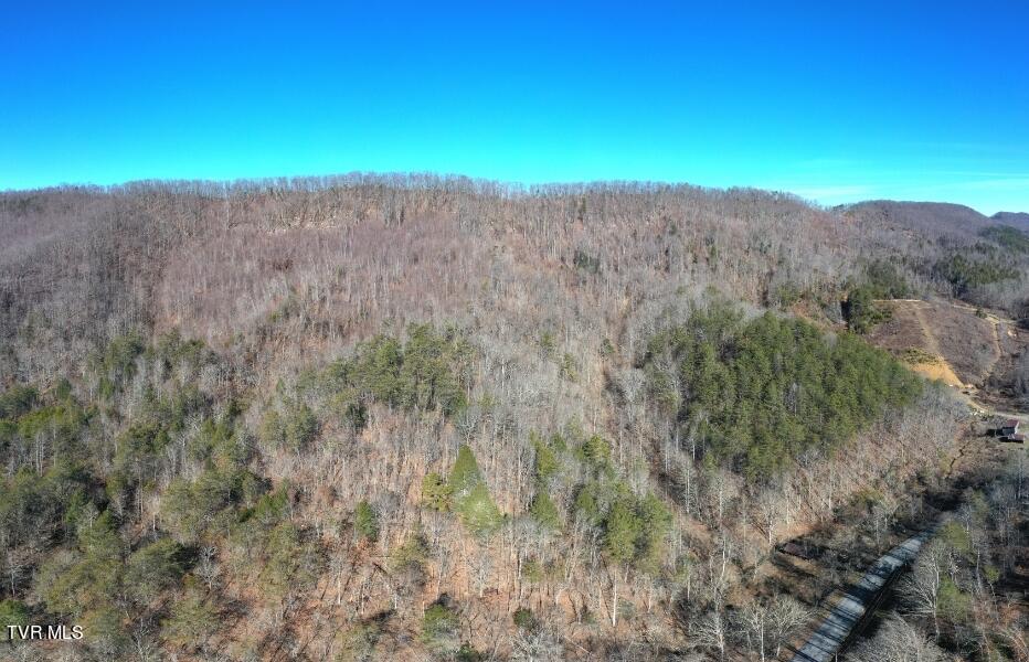 289 Early Branch Road, Rogersville, Tennessee image 39