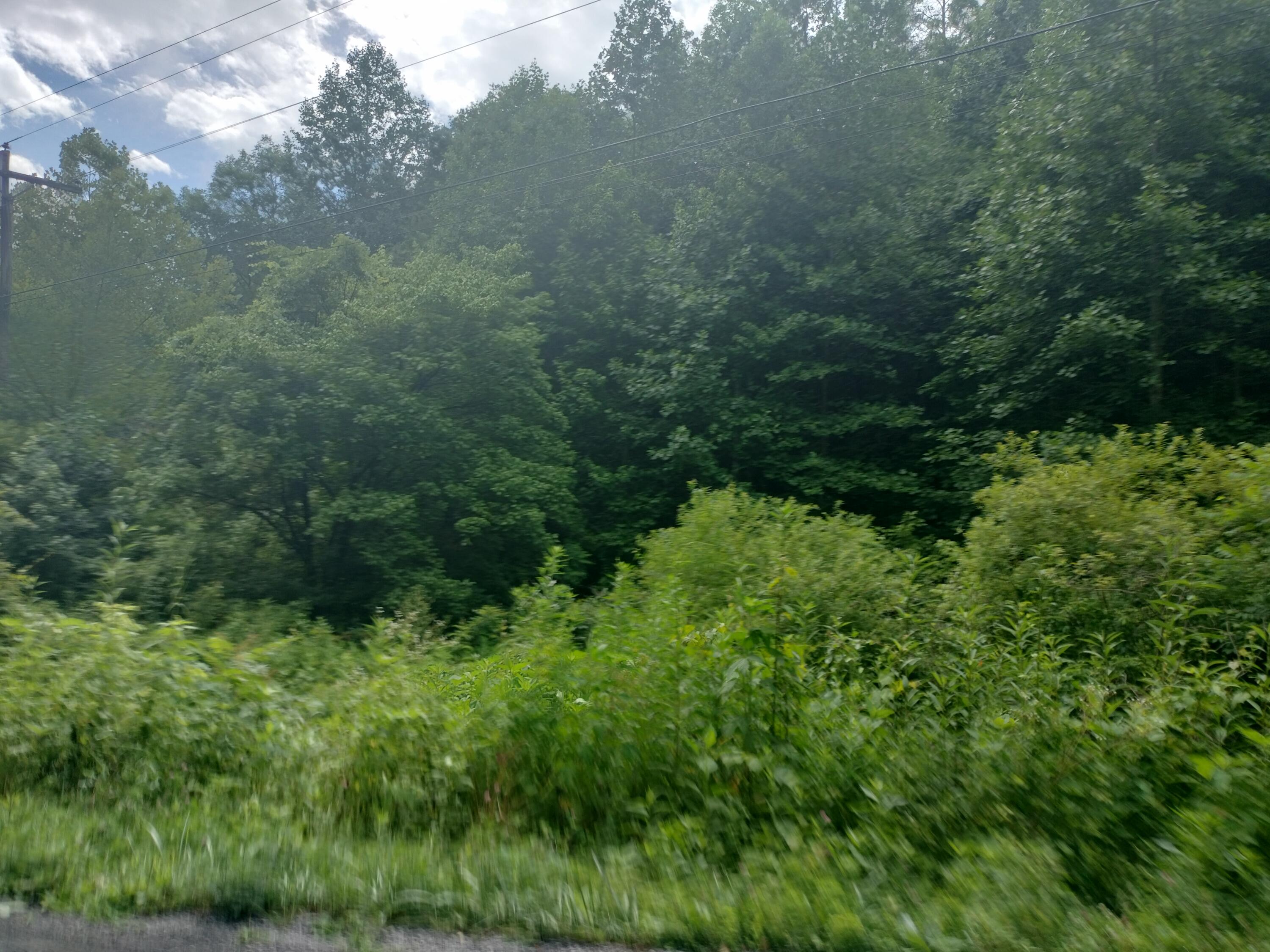 289 Early Branch Road, Rogersville, Tennessee image 26
