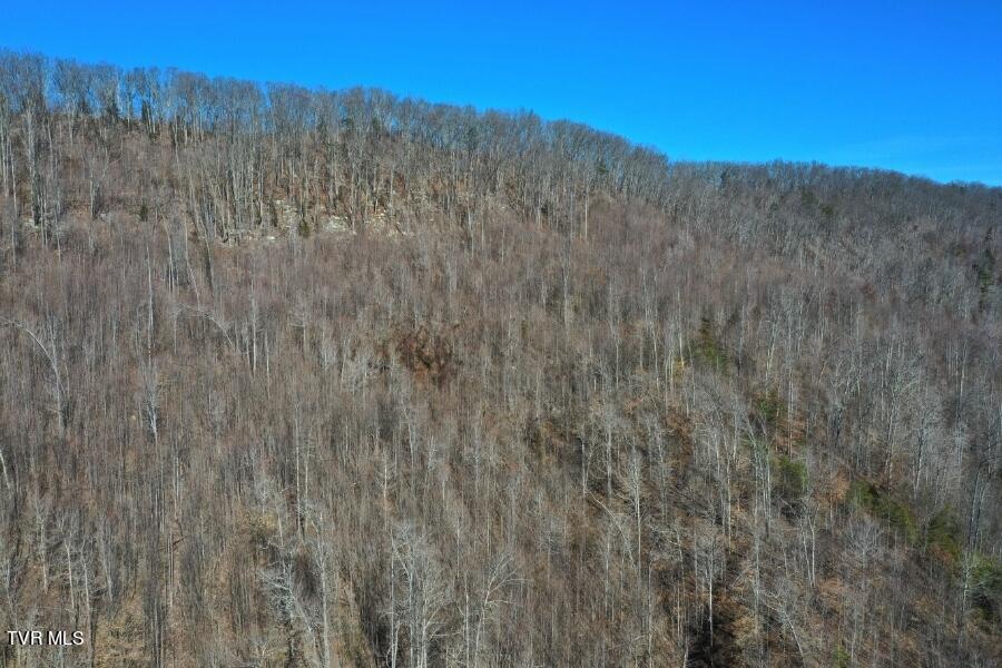 289 Early Branch Road, Rogersville, Tennessee image 45