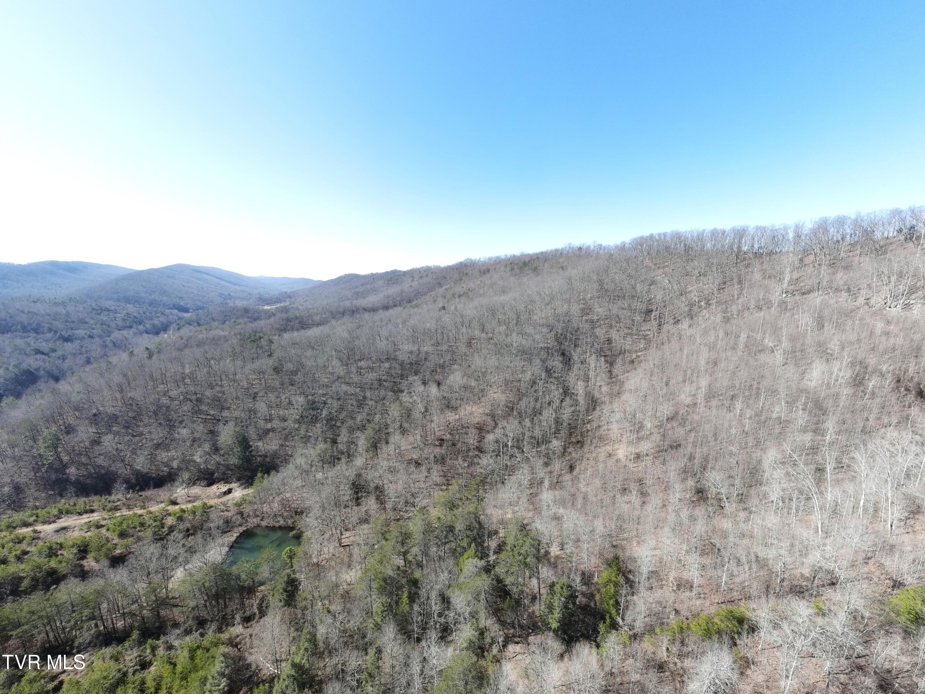 289 Early Branch Road, Rogersville, Tennessee image 30