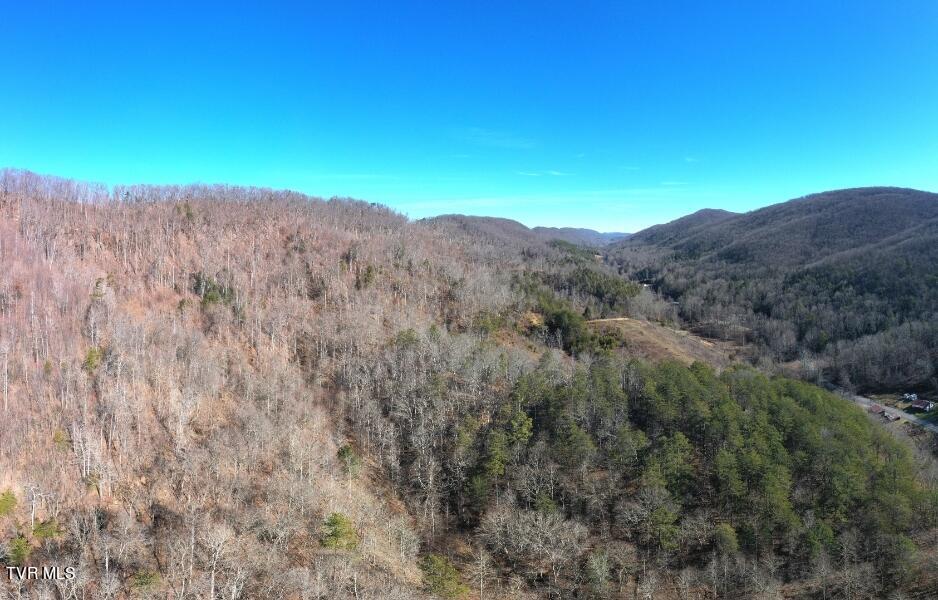 289 Early Branch Road, Rogersville, Tennessee image 37