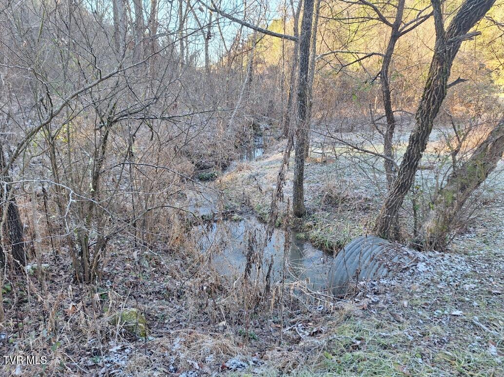 289 Early Branch Road, Rogersville, Tennessee image 14