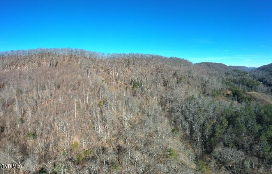 289 Early Branch Road, Rogersville, Tennessee image 35