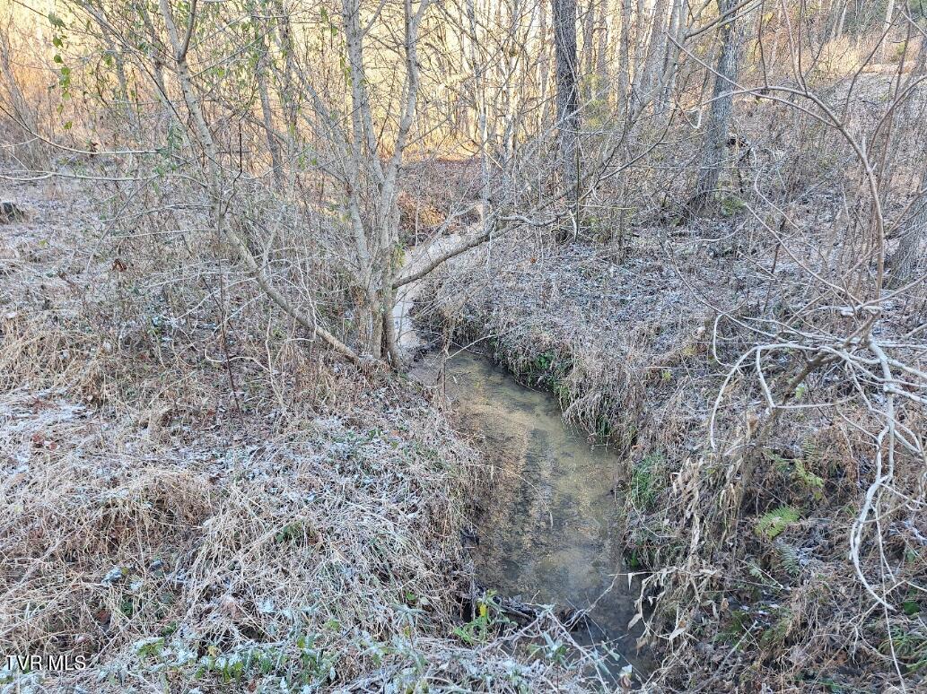 289 Early Branch Road, Rogersville, Tennessee image 10