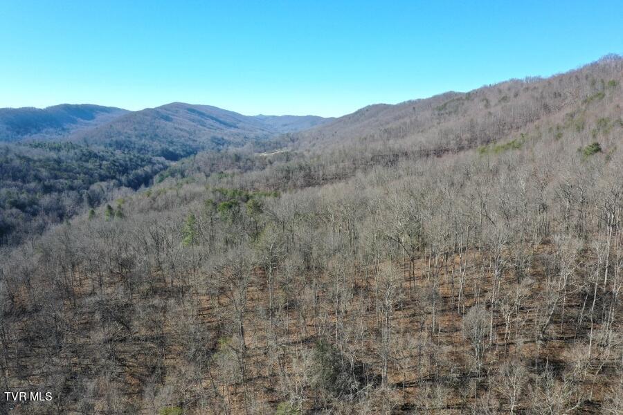 289 Early Branch Road, Rogersville, Tennessee image 50