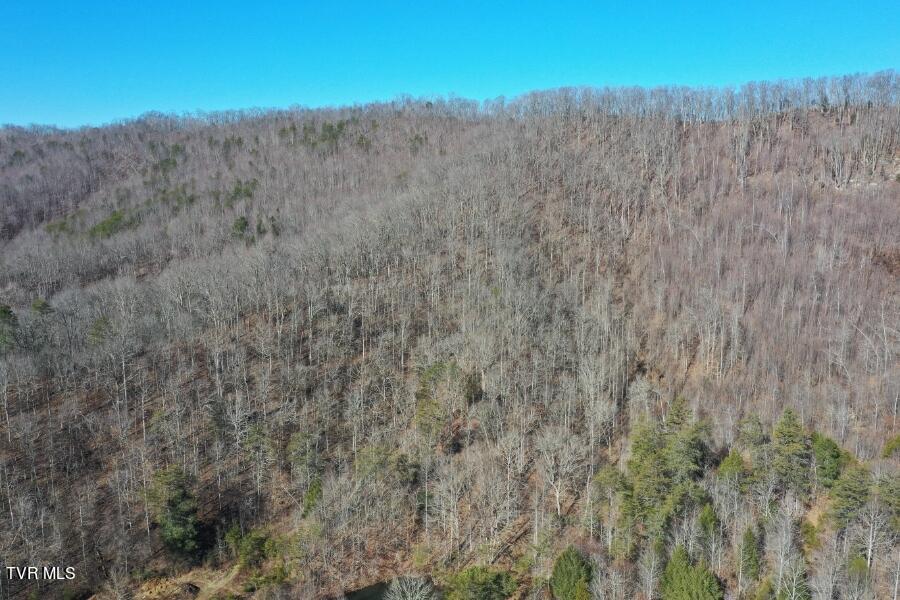 289 Early Branch Road, Rogersville, Tennessee image 49
