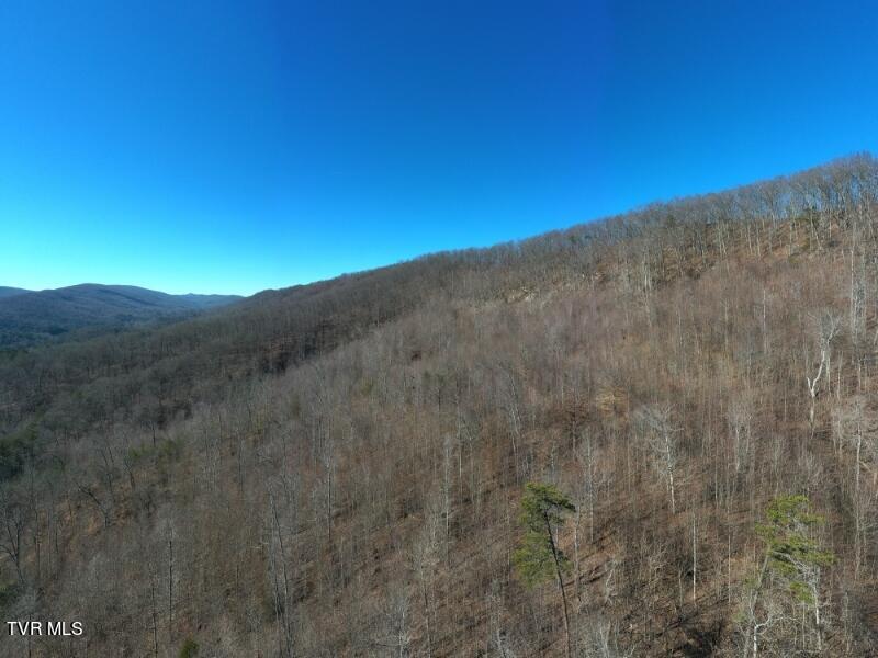 289 Early Branch Road, Rogersville, Tennessee image 44