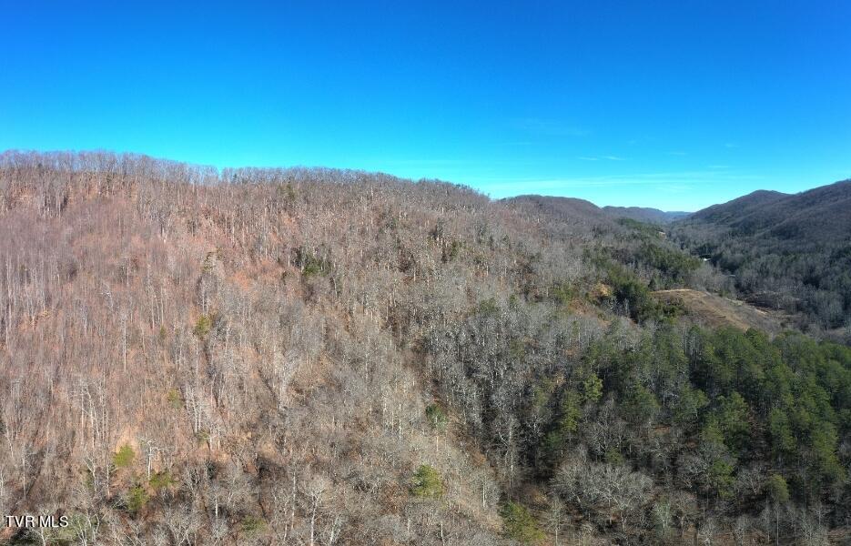 289 Early Branch Road, Rogersville, Tennessee image 36