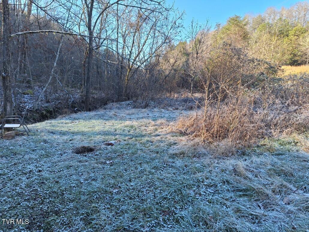 289 Early Branch Road, Rogersville, Tennessee image 15