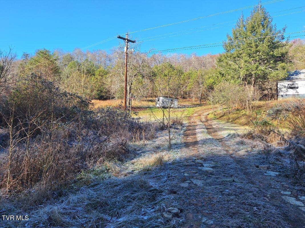 289 Early Branch Road, Rogersville, Tennessee image 1
