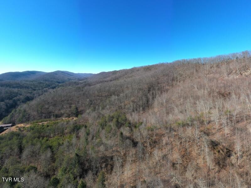 289 Early Branch Road, Rogersville, Tennessee image 43